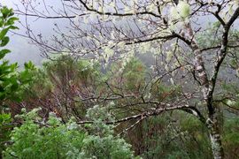Lizbona, Porto Santo, Madera 2018