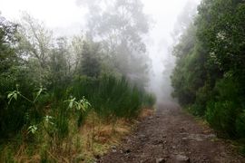 Lizbona, Porto Santo, Madera 2018