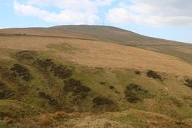 Wyspa Man, Liverpool 2023