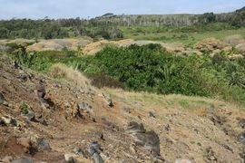 Wyspa Wielkanocna (Chile) 2019