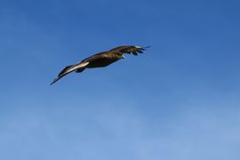 Wyspa Wielkanocna (Chile) 2019