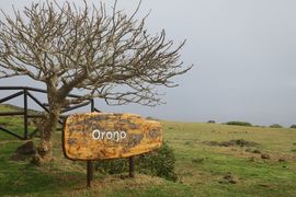 Wyspa Wielkanocna (Chile) 2019