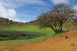 Wyspa Wielkanocna (Chile) 2019