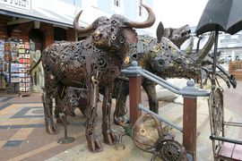 Republika Południowej Afryki 2020