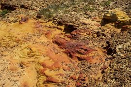 Republika Południowej Afryki 2020