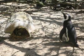 Republika Południowej Afryki 2020