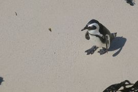 Republika Południowej Afryki 2020