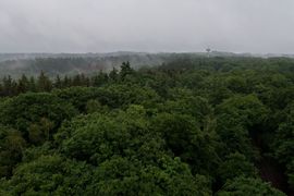 Zagłębie Ruhry 2022