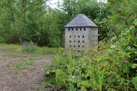 Zagłębie Ruhry 2022