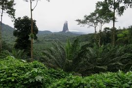 Wyspy Świętego Tomasza i Książęca - 2018