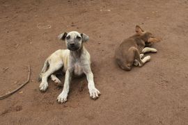 Wyspy Świętego Tomasza i Książęca - 2018