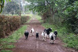 Wyspy Świętego Tomasza i Książęca - 2018