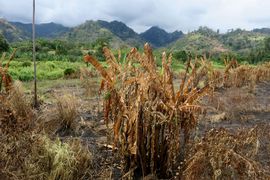 Wyspy Świętego Tomasza i Książęca - 2018
