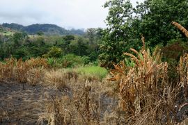 Wyspy Świętego Tomasza i Książęca - 2018