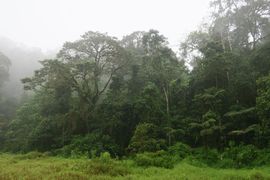 Wyspy Świętego Tomasza i Książęca - 2018