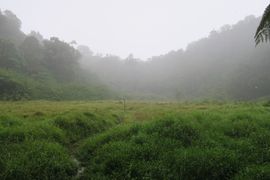 Wyspy Świętego Tomasza i Książęca - 2018