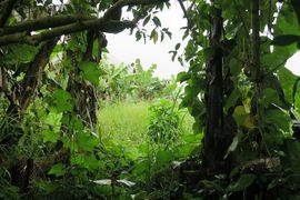 Wyspy Świętego Tomasza i Książęca - 2018