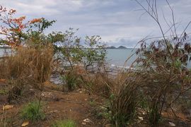 Wyspy Świętego Tomasza i Książęca - 2018