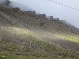 Svalbard I/II - Spitsbergen - 2013/2014