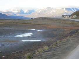 Svalbard I/II - Spitsbergen - 2013/2014
