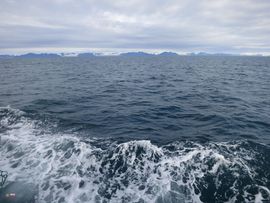 Svalbard I/II - Spitsbergen - 2013/2014