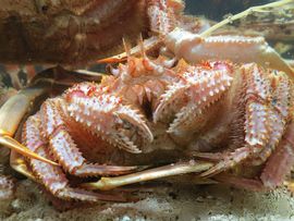 Tajwan - Taipei 2015