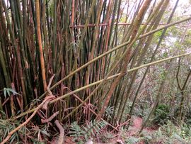 Tajwan - Taipei 2015