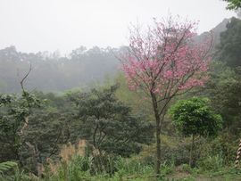 Tajwan - Taipei 2015