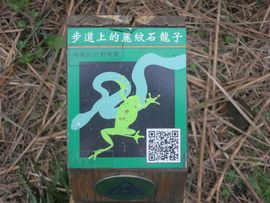 Tajwan - Taipei 2015