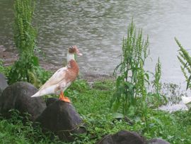 Tajwan - Taipei 2015