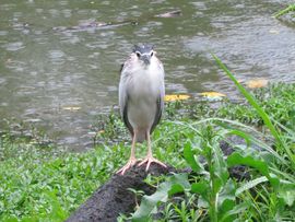 Tajwan - Taipei 2015