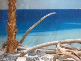 Tajwan - Taipei 2015