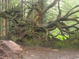 Tatry Zachodnie 2008