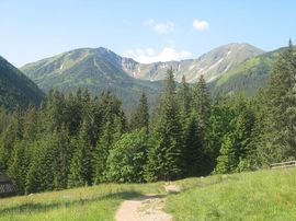 Tatry Zachodnie 2008